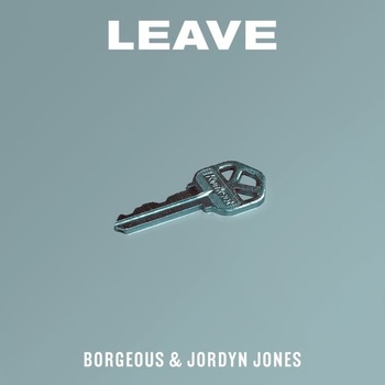 Borgeous & Jordyn Jones - Leave (AlejZ meets B0unceboy Bootleg Edit) album cover