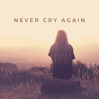 Dash Berlin - Never Cry Again (Jinpachi Futushimo Bootleg Mix) album cover