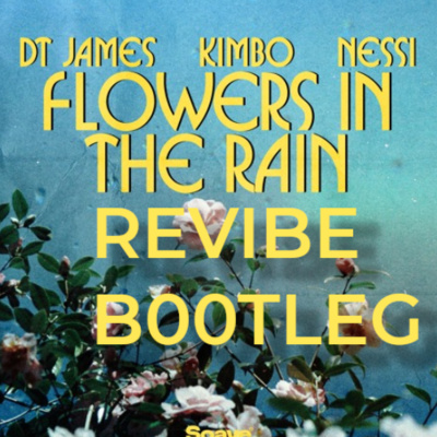 DT James & Kimbo (feat. Nessi) - Flowers In The Rain (Revibe Edit) album cover