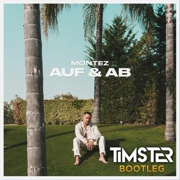 Montez - Auf & Ab (Timster Bootleg) album cover