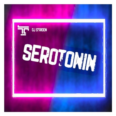 TranzistorZ X DJ Striden - Serotonin album cover